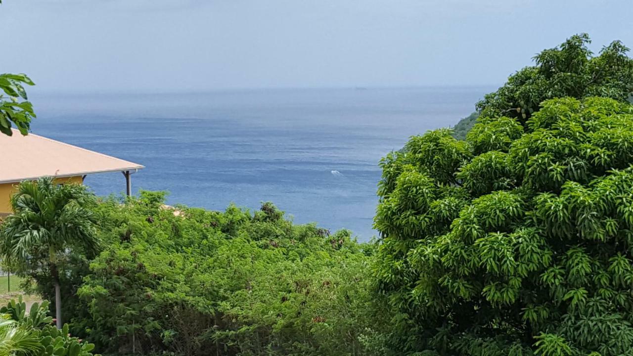 La Yole Des Caraibes Daire Les Anses-d'Arlets Dış mekan fotoğraf